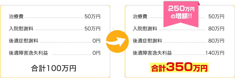 治療費・入院慰謝料・後遺症慰謝料・後遺症損失利益　250万円の増額